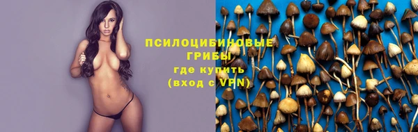 кокс Лабытнанги