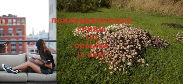 мяу мяу кристалл Краснослободск