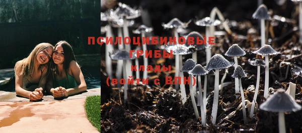 спайс Лагань