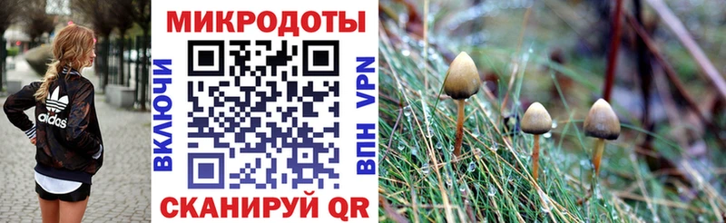 Псилоцибиновые грибы ЛСД  гидра как войти  Лянтор  цены  