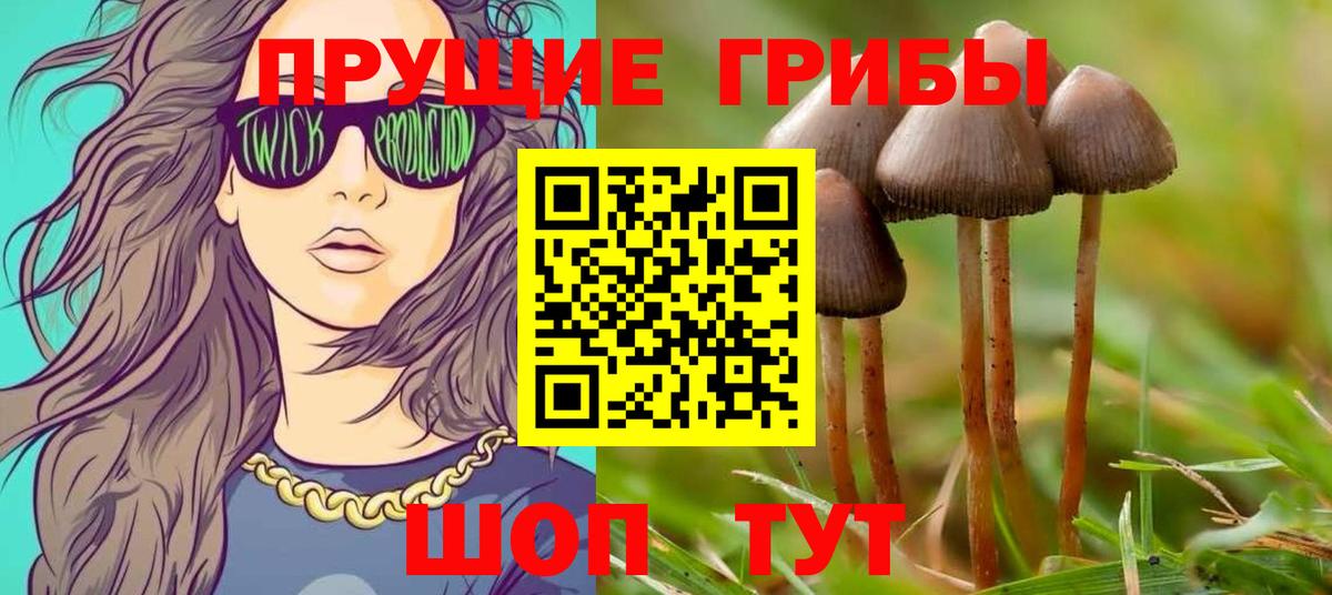 наркотики  Вход с VPN  Лянтор  Галлюциногенные грибы Psilocybe 