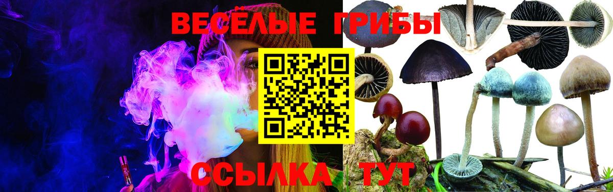 Псилоцибиновые грибы MAGIC MUSHROOMS Лянтор